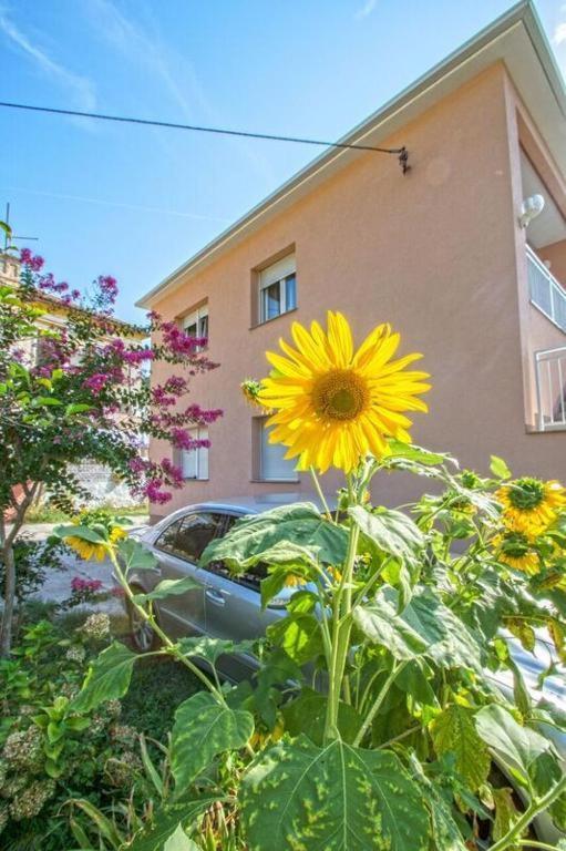 Apartman Studio Nena Цриквеница Экстерьер фото